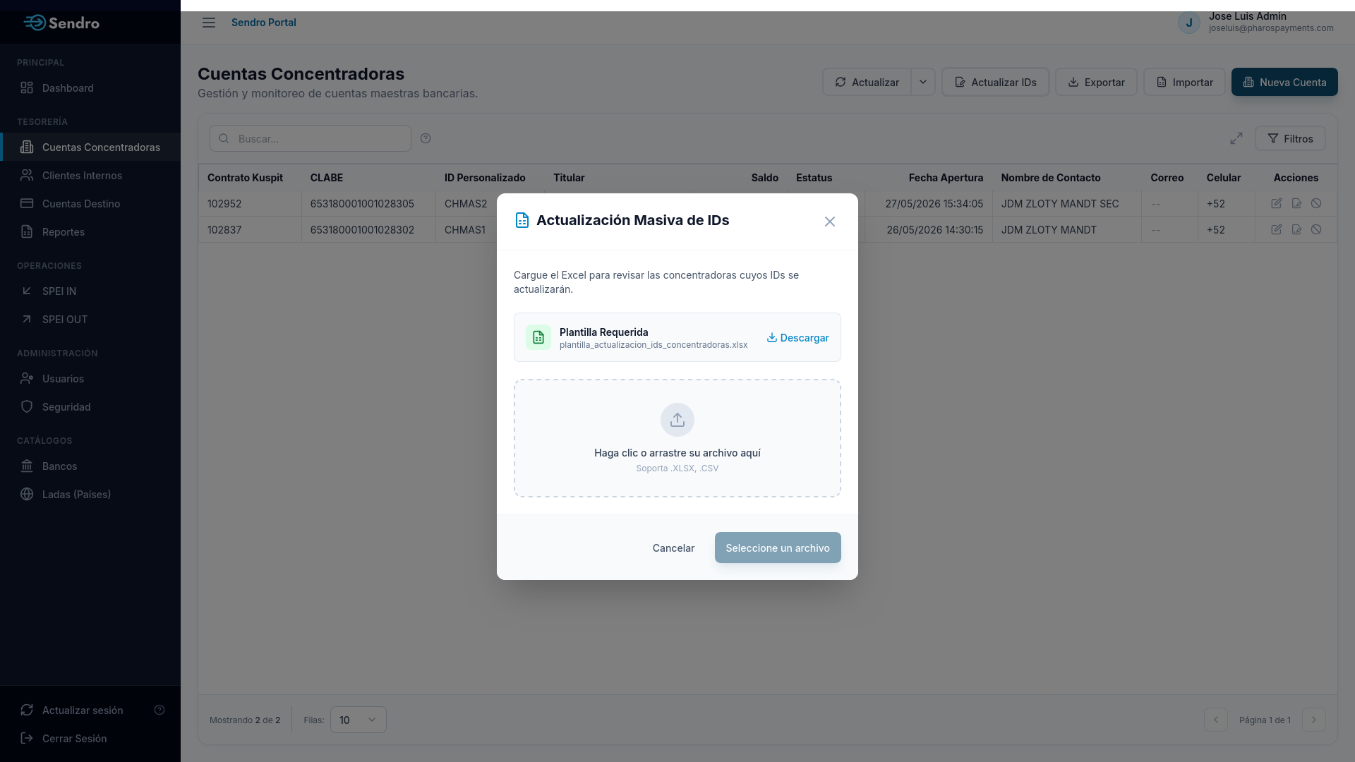Modal de Actualización Masiva de IDs de Concentradoras